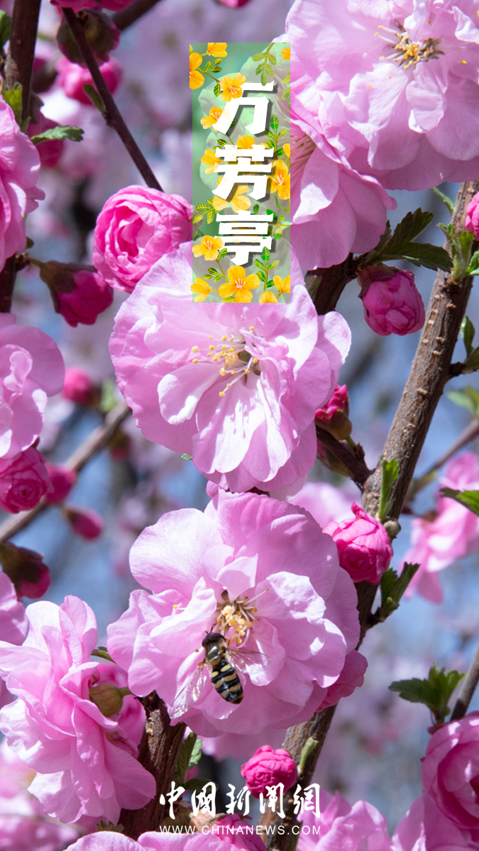 ???? ???? ?? ????? ????????? ????? ??????