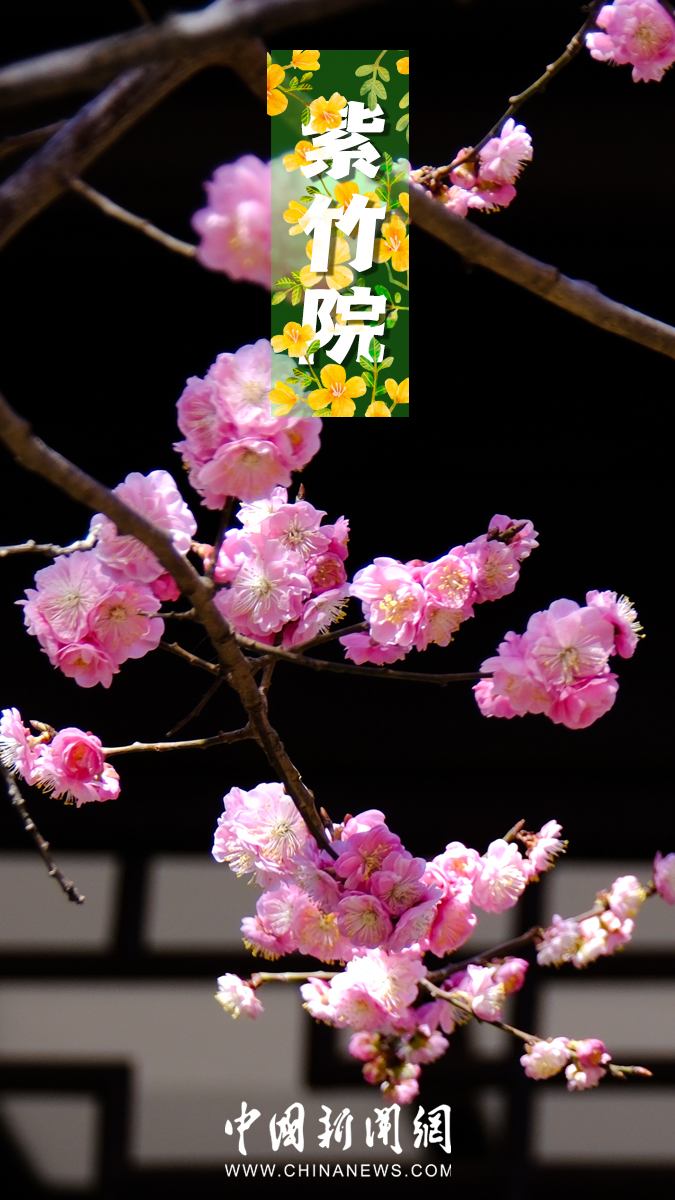 ???? ???? ?? ????? ????????? ????? ??????