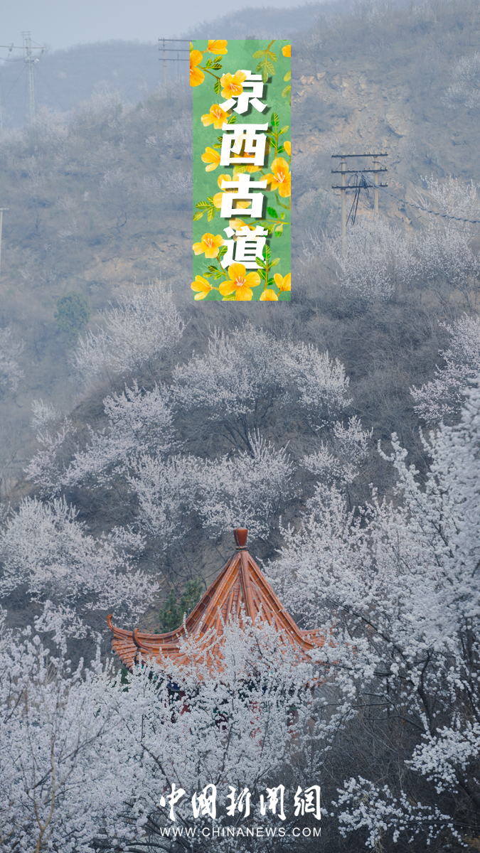 ???? ???? ?? ????? ????????? ????? ??????