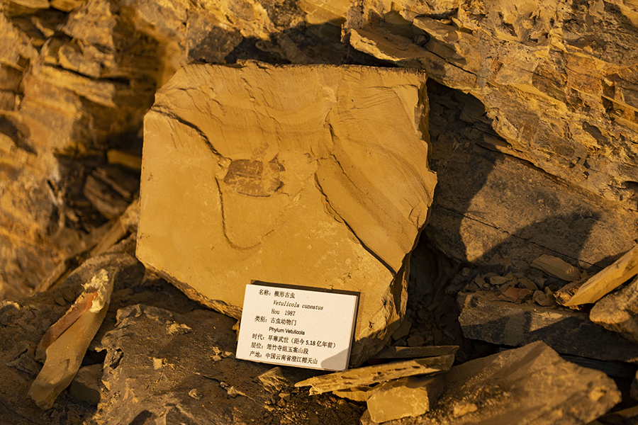 ??? ?????????? ???????? .. ???? ????? ???????? ?? ??????