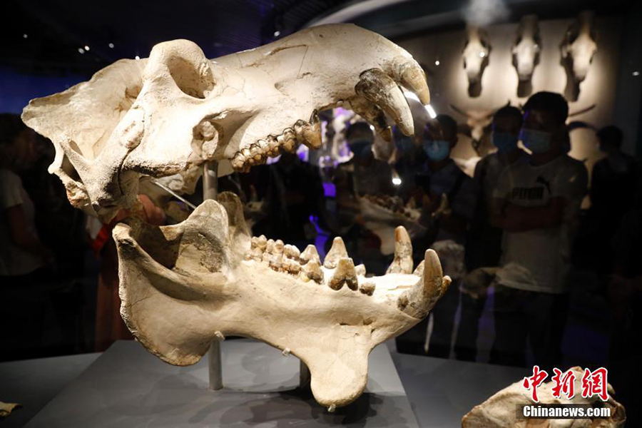 ??? ?????????? ???????? .. ???? ????? ???????? ?? ??????