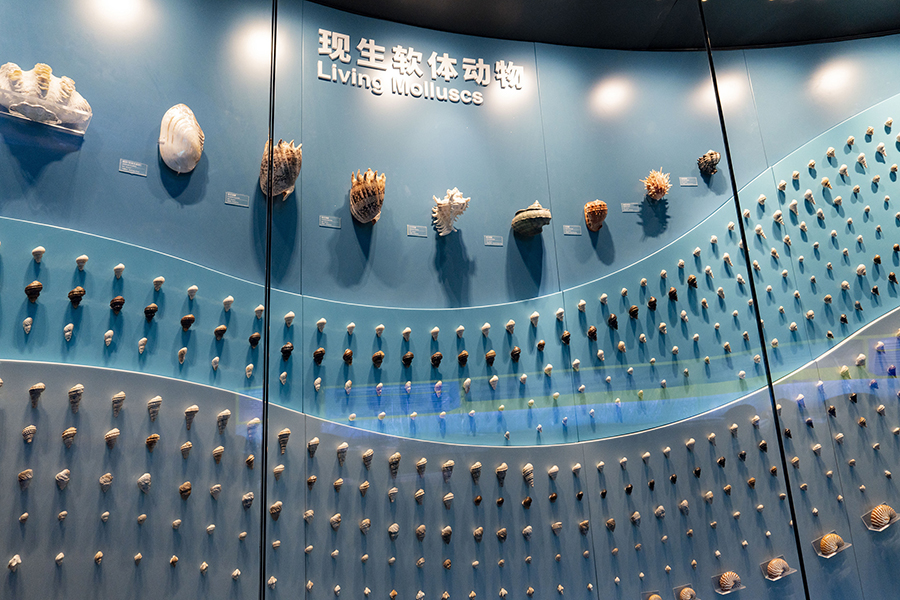 ??? ?????????? ???????? .. ???? ????? ???????? ?? ??????