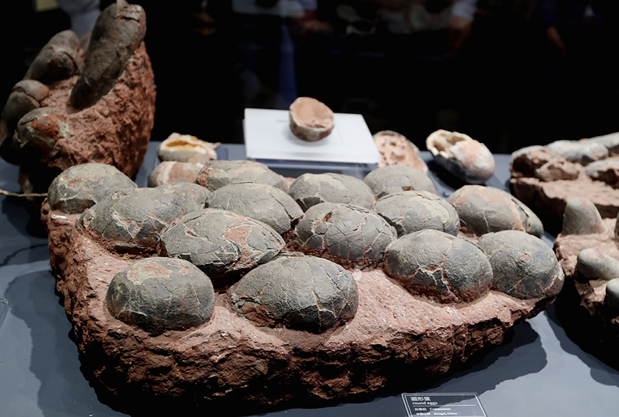 ??? ?????????? ???????? .. ???? ????? ???????? ?? ??????