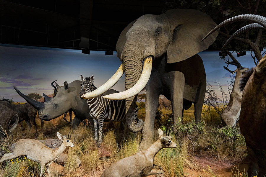 ??? ?????????? ???????? .. ???? ????? ???????? ?? ??????