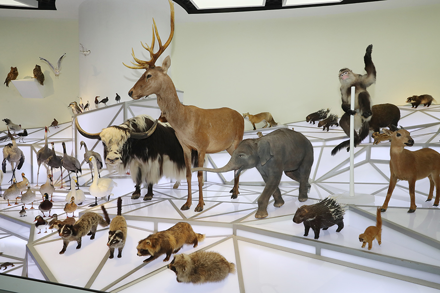 ??? ?????????? ???????? .. ???? ????? ???????? ?? ??????