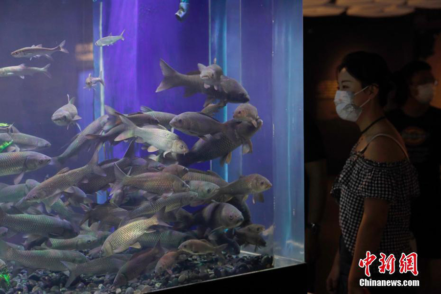 ??? ?????????? ???????? .. ???? ????? ???????? ?? ??????