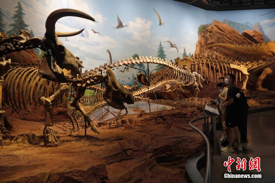 ??? ?????????? ???????? .. ???? ????? ???????? ?? ??????