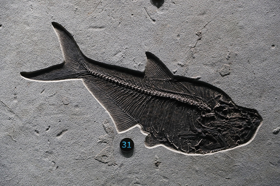 ??? ?????????? ???????? .. ???? ????? ???????? ?? ??????