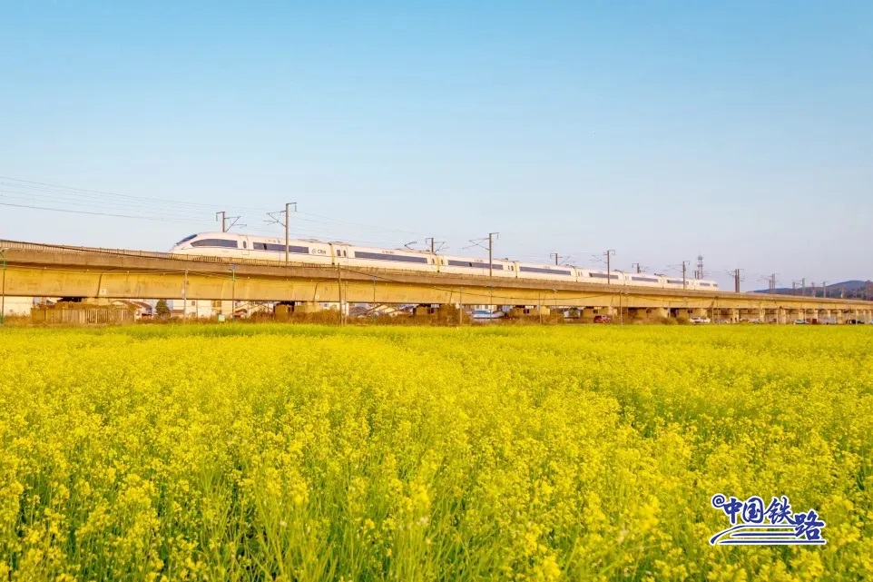 ?????: ?????? ?????? ??? ???? ????? ???????? ???????