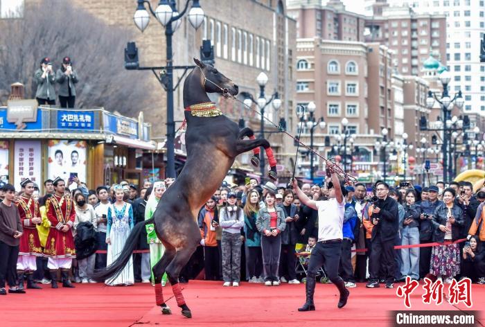 ???? ??????? ????? ????? ?????? ?? ????? ???????? ??????