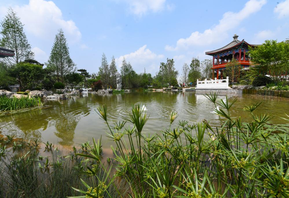 ???? ??????? ?????? 2024 ?? ???? ???? ?????