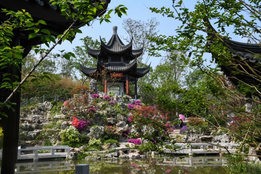 ???? ??????? ?????? 2024 ?? ???? ???? ?????