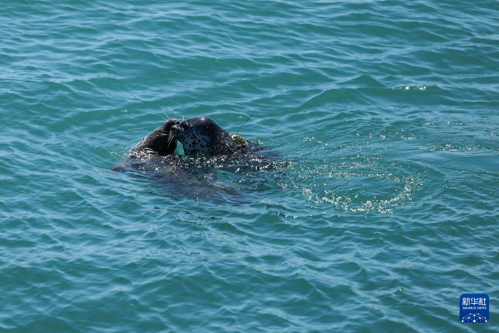 ????? 10 ????? ????? ?? ?????? ????? ????? ????? ???? ?????