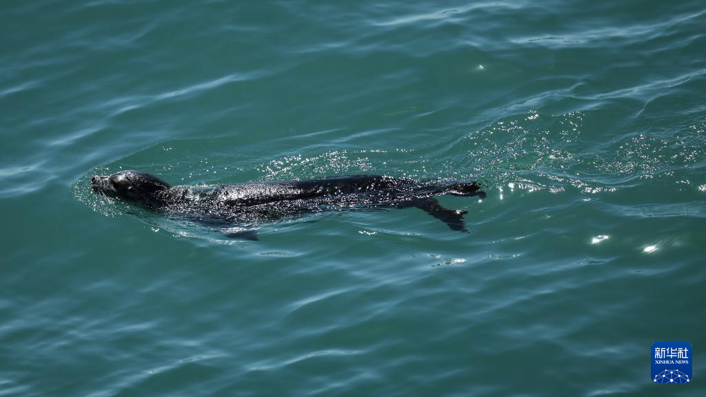 ????? 10 ????? ????? ?? ?????? ????? ????? ????? ???? ?????