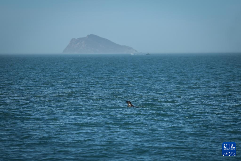 ????? 10 ????? ????? ?? ?????? ????? ????? ????? ???? ?????