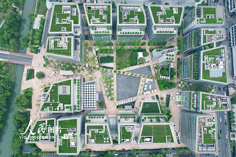 ???? ????? ???? ?? ???????: ????? ??? ???????? ??? ???? ????? ???????