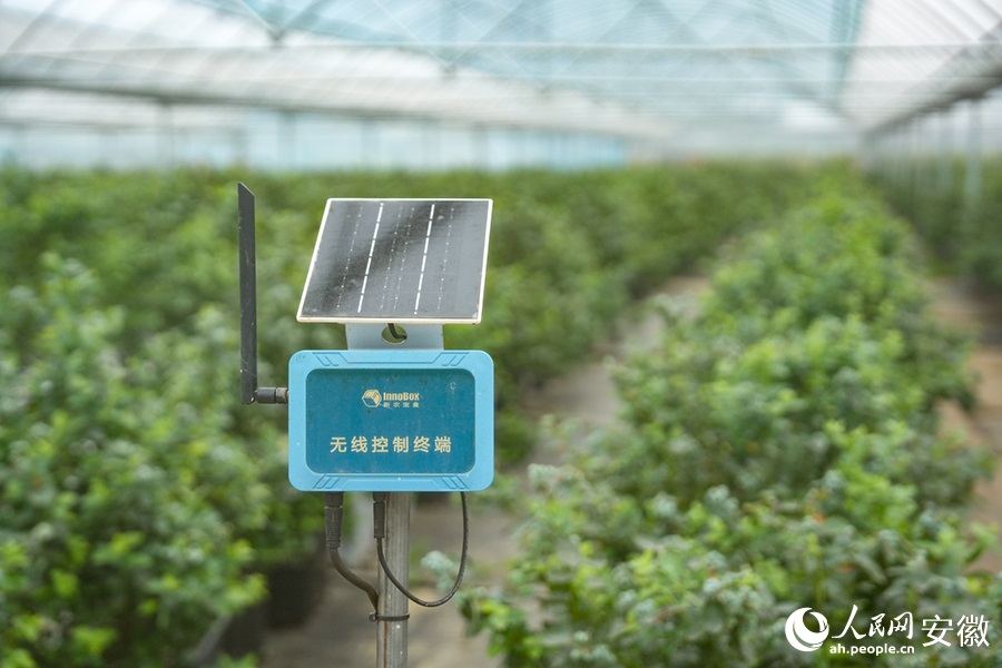 ??????? ???????.. ????? ???? ??????? ?????? ??? ????