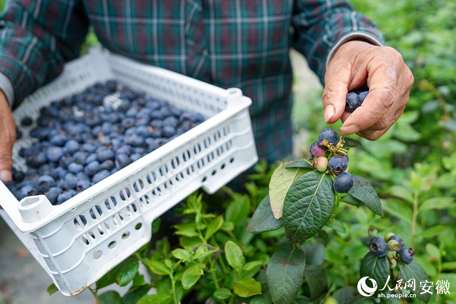 ??????? ???????.. ????? ???? ??????? ?????? ??? ????