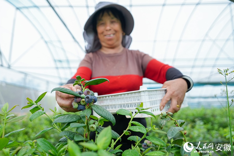 ??????? ???????.. ????? ???? ??????? ?????? ??? ????