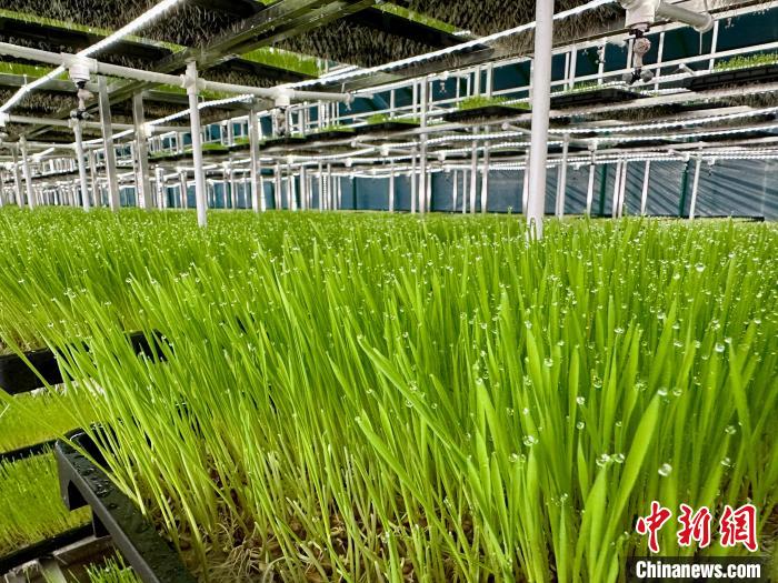 ?? ??? ??????? ???????? ????????? ????? ???? ????? ?????? ????? ???????