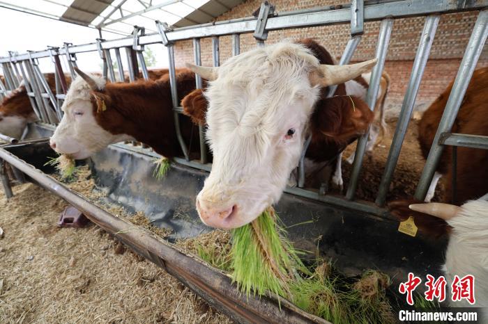 ?? ??? ??????? ???????? ????????? ????? ???? ????? ?????? ????? ???????