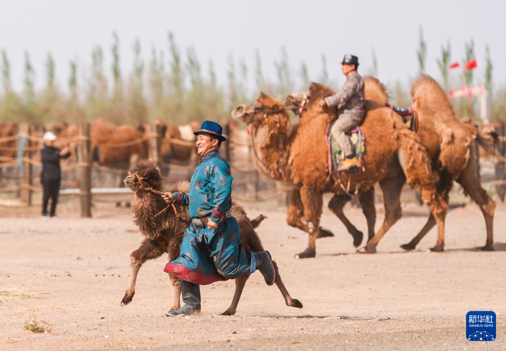 ?????? ?????? ??????? ??????? ???????? ???? ?? ??????? ???????? 2024