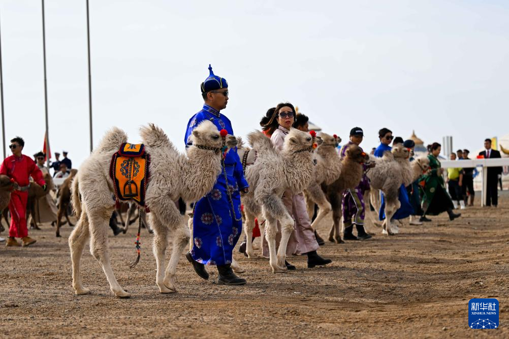 ?????? ?????? ??????? ??????? ???????? ???? ?? ??????? ???????? 2024