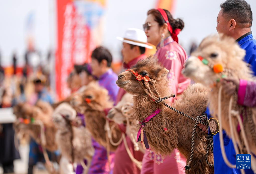 ?????? ?????? ??????? ??????? ???????? ???? ?? ??????? ???????? 2024