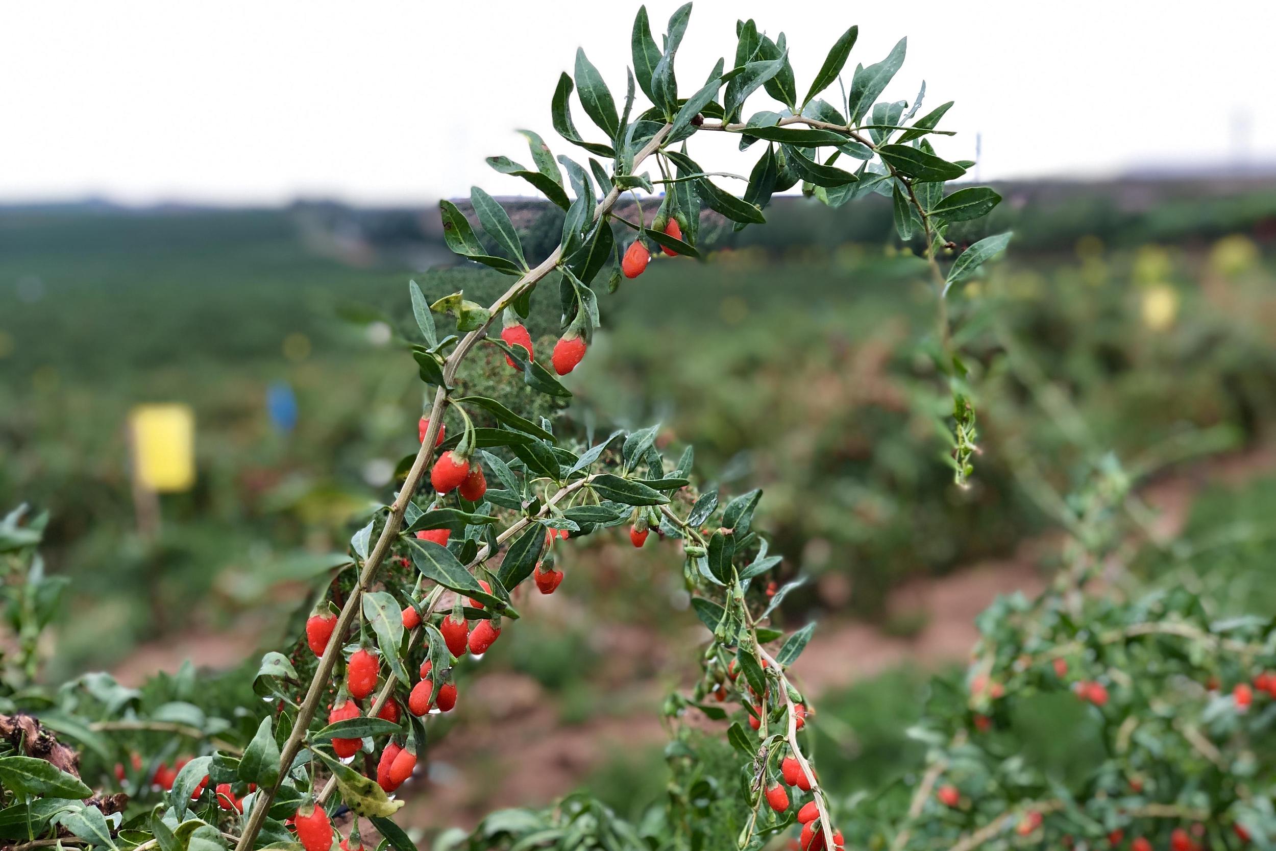 ????? ?????: ??? ?????? ?? ???????