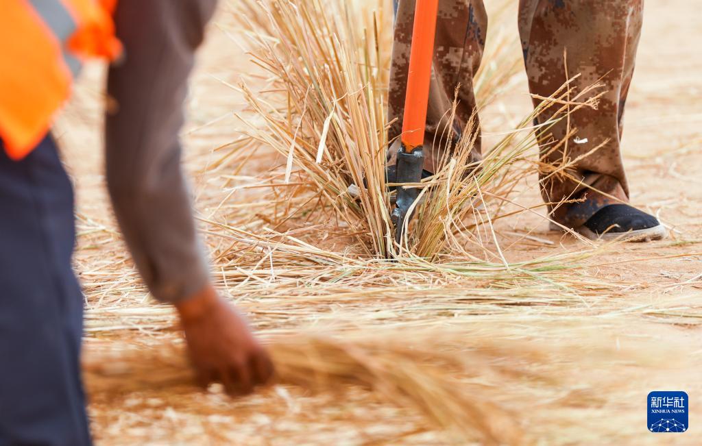 ???? ??????? ??????? ?????? ?? ??????? ????????