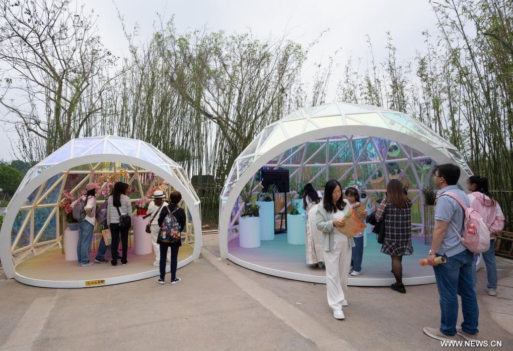 ???? ?????? ???? ?????? ?????? ??????? 2024