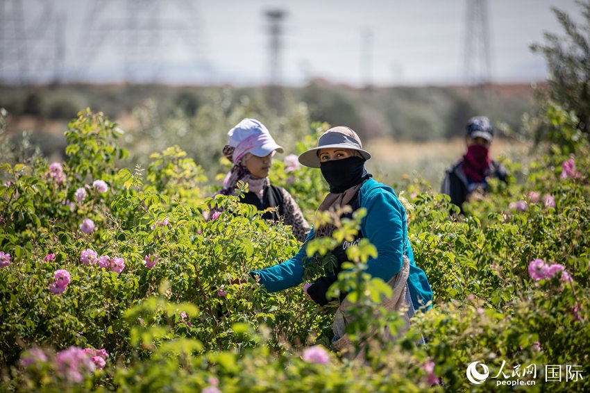 ????? ??????? ?????? ???? ???? ??????