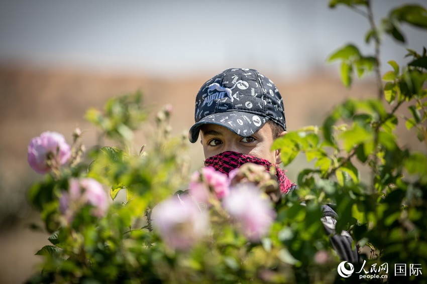 ????? ??????? ?????? ???? ???? ??????