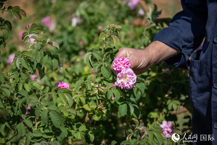 ????? ??????? ?????? ???? ???? ??????