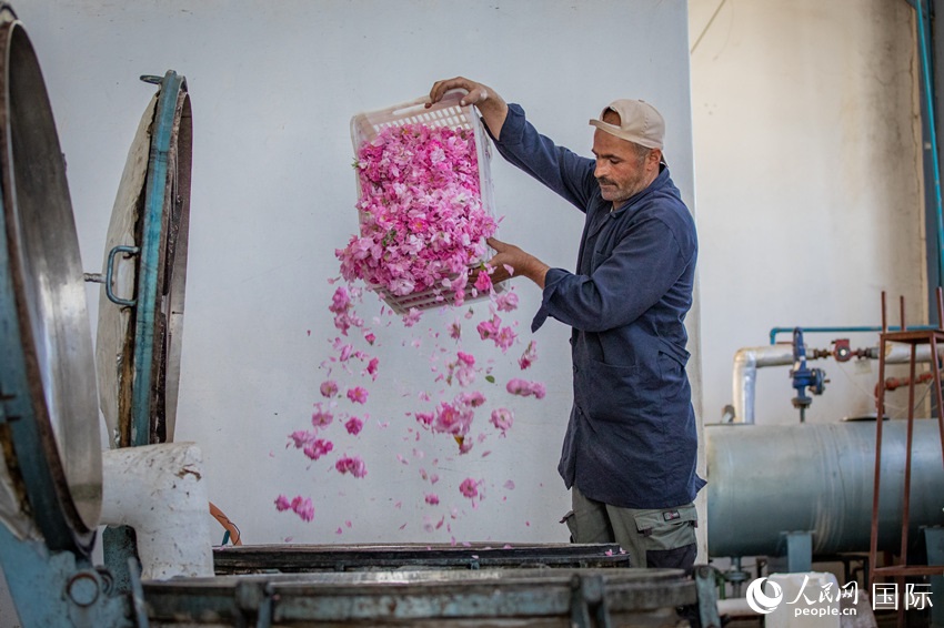 ????? ??????? ?????? ???? ???? ??????