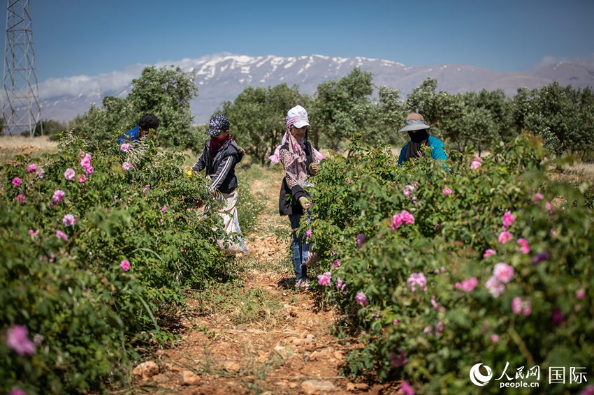 ????? ??????? ?????? ???? ???? ??????