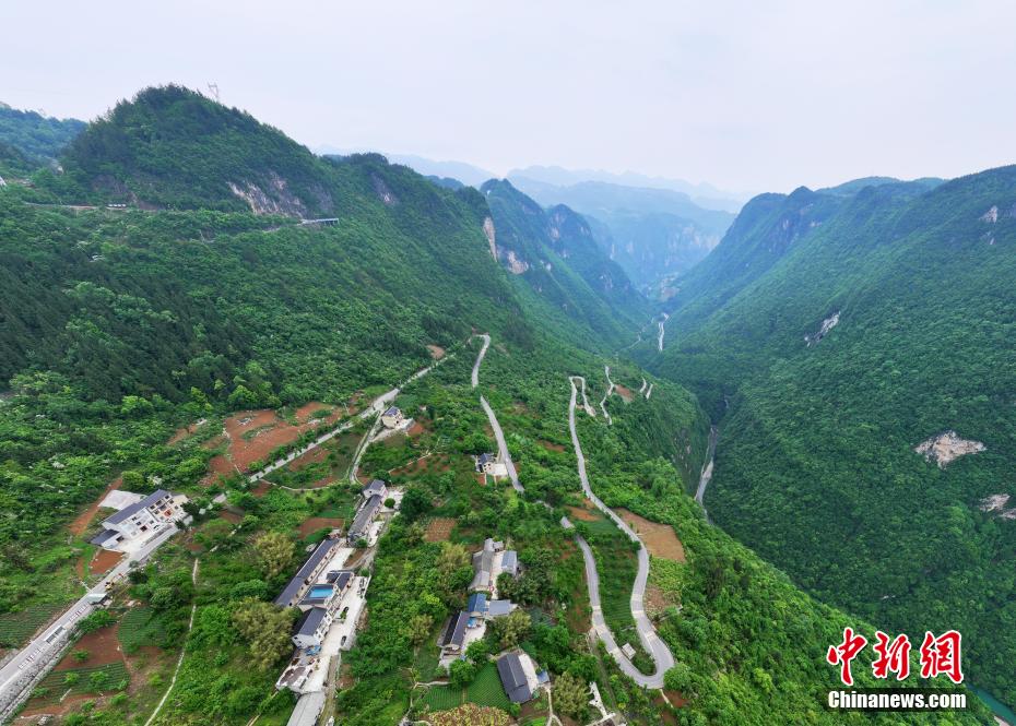 ??????? ????: ?????? ?????? ??????? ????