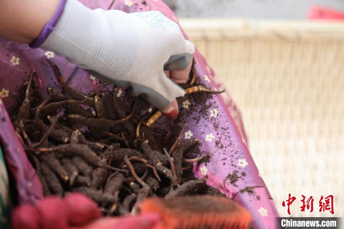 ??? ?????? ??? ?????? ?? ???? ????????