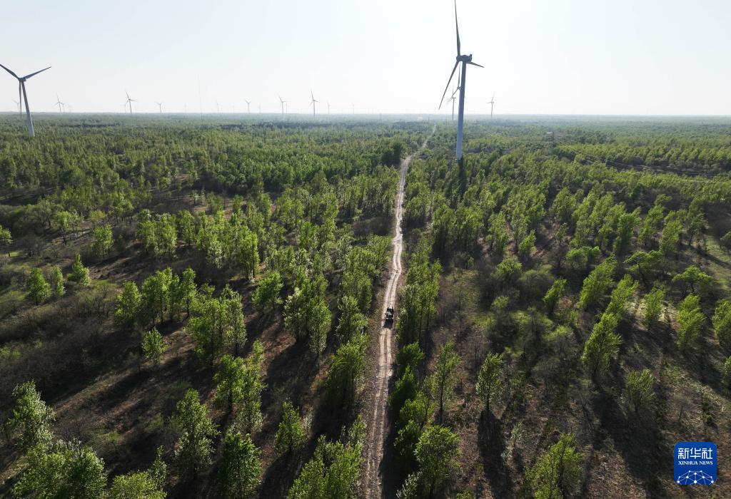 ?????? ????? ??? ?????? ??????? ??????? ?? ???????