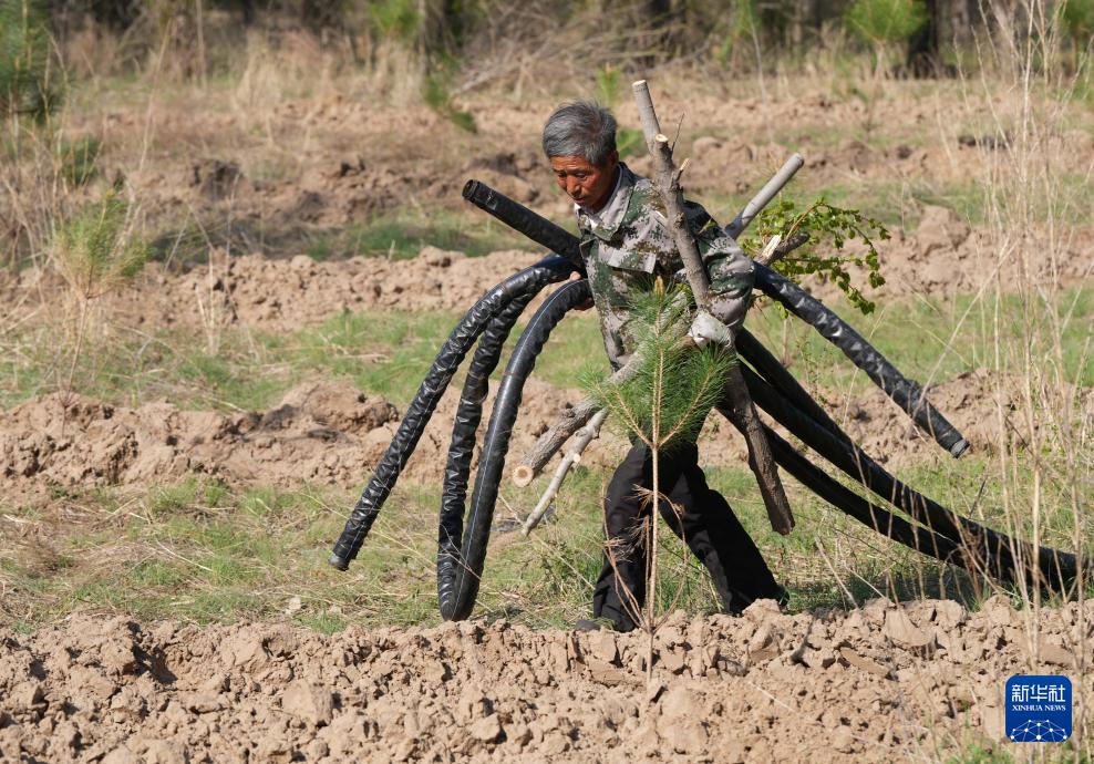 ?????? ????? ??? ?????? ??????? ??????? ?? ???????