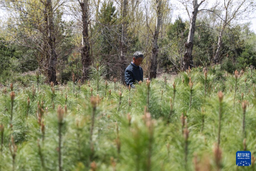 ?????? ????? ??? ?????? ??????? ??????? ?? ???????