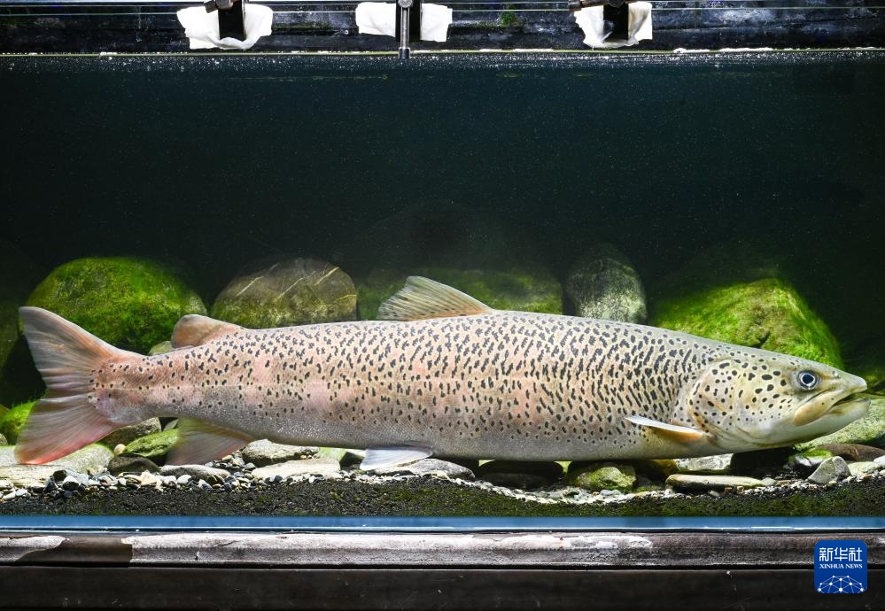 ????? ?????? ?????? ?? ????? ??????? ????????? ?????? ????? ?????????