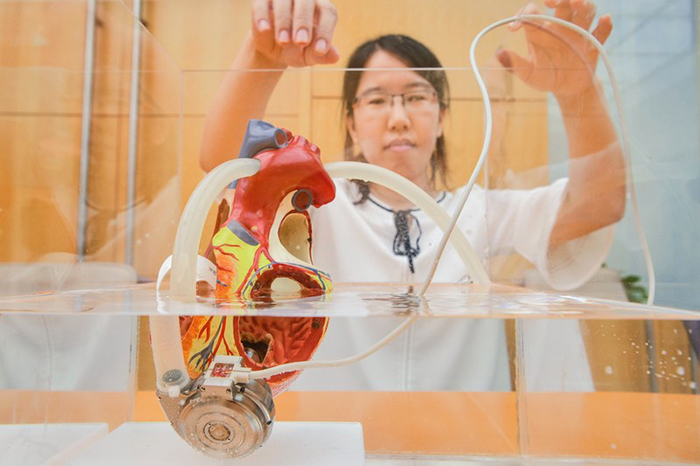 ?????? ?????????? ?????? .. 