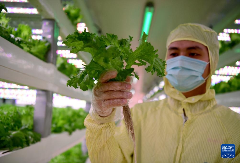 ??????? ???? ?????? ???? ??? ???????