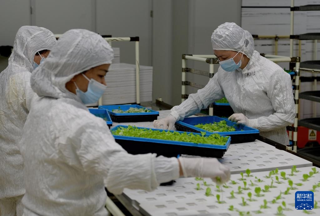 ??????? ???? ?????? ???? ??? ???????