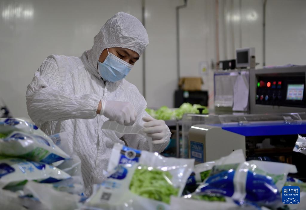 ??????? ???? ?????? ???? ??? ???????