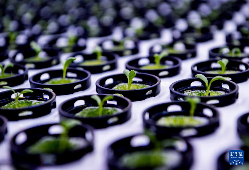 ??????? ???? ?????? ???? ??? ???????