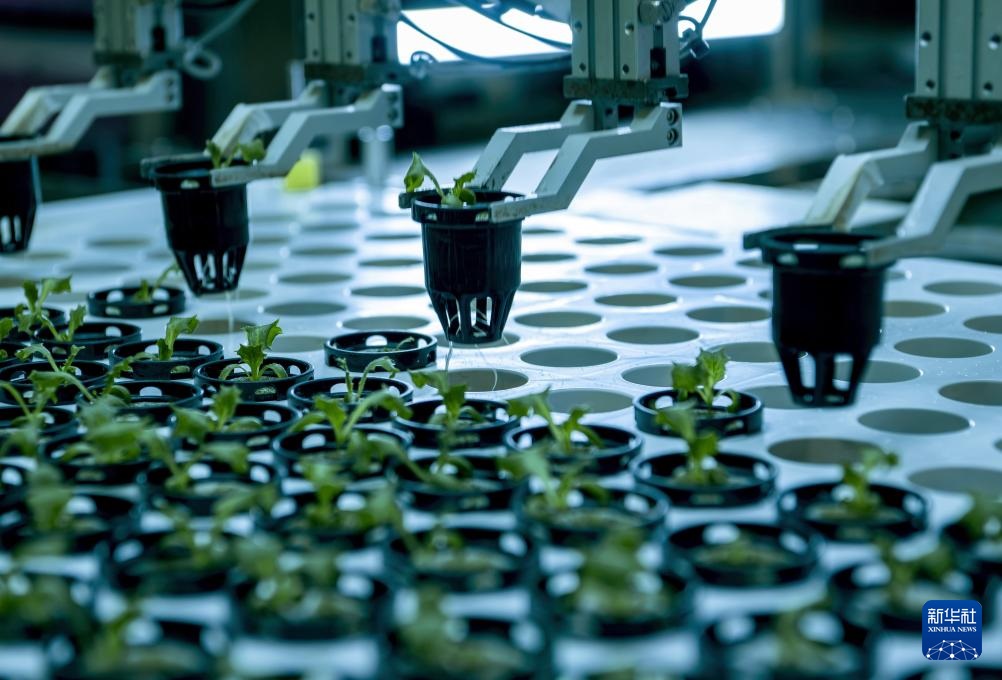 ??????? ???? ?????? ???? ??? ???????