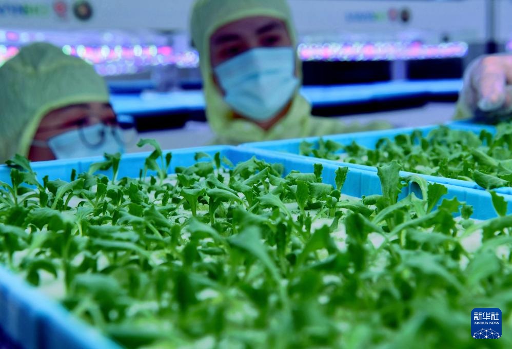 ??????? ???? ?????? ???? ??? ???????