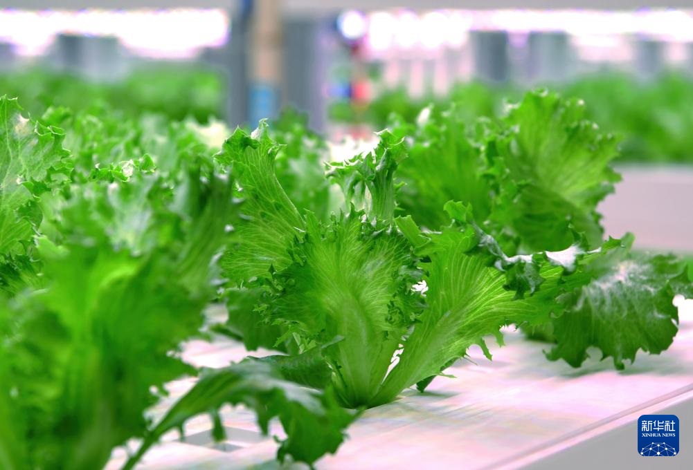 ??????? ???? ?????? ???? ??? ???????